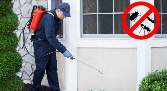 Muğla Pire İlaçlama böcek ilaçlama ve haşere kontrolü — ilaclama-tr.com